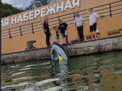 Катамаран и гидроцикл столкнулись под Чернавским мостом в Воронеже 