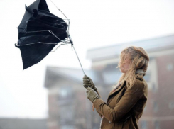 Спасатели предупредили воронежцев о грозах и граде на 9 Мая