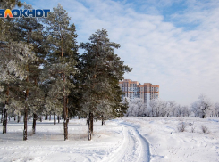 Оно близко: через сколько часов снежная кутерьма дотянется до Воронежа, выяснили метеорологи 