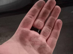 Асфальт почище будет: воронежец призвал пассажиров проверять сиденье в автобусах