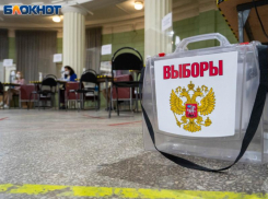 Назван район с самой высокой явкой на выборах президента в Воронежской области