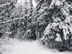 Метелью и морозами порадует воронежцев последняя неделя перед Новым годом 
