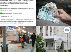 Коронавирус в Воронеже 29 декабря: + 315 больных, угроза «Омикрона» и объяснение процедур над школьниками