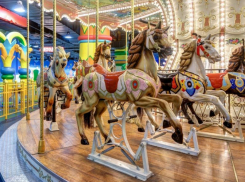 Развлекательная отрасль Воронежа консолидировалась в надежде достучаться до Гусева