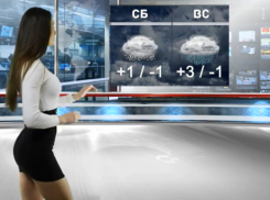 Плюсовая температура накроет зимний Воронеж на выходных 