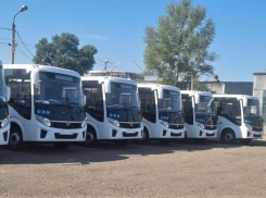 30 новых автобусов готовятся выйти на воронежские дороги
