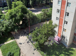 «Все окна в пыли, стоит грохот»: карательный ремонт кровли показали на видео в Воронеже