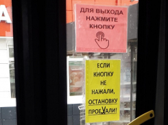 Автобусное объявление с нецензурным намёком позабавило жителей Воронежа