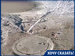 Я не понимаю, почему все бездействуют, – жительница Воронежа