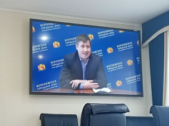 Общественник Илья Наумов в очередной раз стал претендентом на пост мэра Воронежа
