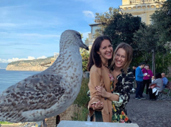 Смешным фото с чайкой и Ксенией Собчак поделилась Матильда из Воронежа