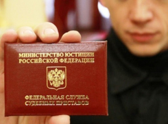 В Воронежской области мужчина не платил штрафы в ГИБДД