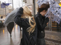 Воронежцев предупредили о яростном ветре