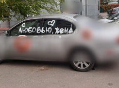 Поступок мстительной жены наглядно показали в Воронеже