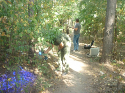 Воронежского насильника будут судить за нападение на 22-летнюю девушку