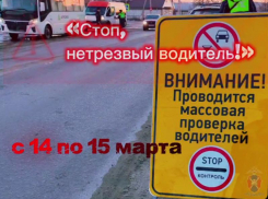 Охоту на пьяных водителей объявили в ГАИ Воронежской области