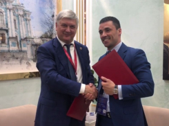 Завод высокопрочных труб за 4,5 млрд рублей намерен создать спонсор воронежского «Факела»