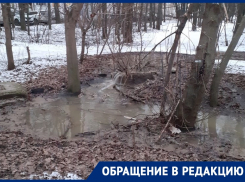 Канализационные реки и водопады заливают воронежскую улицу