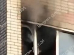 Пламя захватило многоэтажку в Воронеже - опубликовано видео