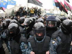 Воронежская полиция готова принять на службу сотрудников Беркута