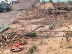 Кто-нибудь поломает себе руки или ноги: захламленная детская площадка возмутила воронежцев