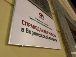 Воронежские эсеры окончательно отбили у хейтеров историческое название