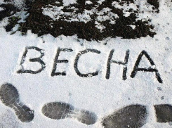 Весна придет в Воронеж с морозом и снегом