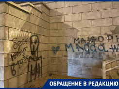 «Запредельное варварство»: воронежцы испортили надписями отремонтированный путепровод на 9 Января