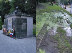 Братскую могилу на болоте сняли на видео воронежские активисты