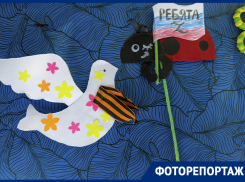 Письма, маскировочные сети и поделки: ярмарка в поддержку участников СВО прошла в Воронеже