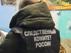 Воронежец зарезал своих родителей – опубликовано видео с места убийства 