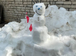 Вот это поворот: снеговика на сугробе заметили в знойном Воронеже   
