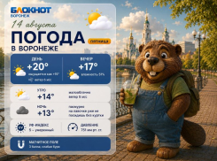 Жара ушла, а солнце осталось: прогноз погоды в Воронеже