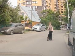  «Могла случиться трагедия»: воронежцев призвали обратить внимание на детскую беспечность 