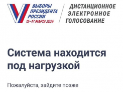 Проблемы с «Госуслугами» во время выборов президента объяснили в Воронеже 