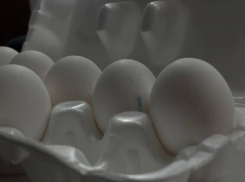 Найдены самые дорогие яйца в Воронеже