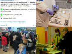 Коронавирус в Воронеже 19 сентября: +29 смертей, давка на почте и антиковидные меры на выборах