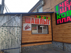 Шашлыг изобрели на трассе М-4 «Дон» в Воронежской области