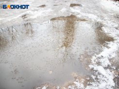 Спасатели вновь предупреждают о снегопаде и дожде в Воронежской области 