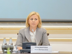 Неля Пономарева предложила подписать соглашение о честных выборах в Воронеже на фоне нарушений кандидатов от «Единой России»