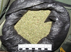 В Воронежской области задержан таксист-наркоман, который перевозил 1,5 кг марихуаны