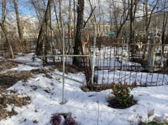 Чиновники выбрали место для создания нового кладбища в Воронеже
