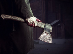 20-летний воронежец напал с топором на свою бабушку и прабабушку