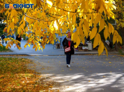Финальный аккорд золотой осени ждет воронежцев на предстоящей неделе
