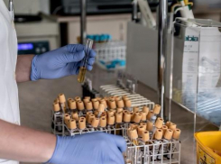 Воронежские хоккеисты массово провалили тест на мельдоний