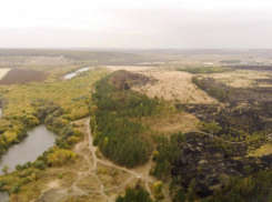 Охватившие пригород Воронежа пожары поставили под угрозу строящийся объект 