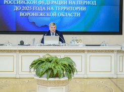 Александр Гусев решил убедить соседей в столичном статусе Воронежа