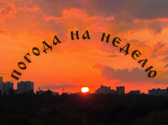 Идеальная неделя для Воронежа: что нам готовит погода?