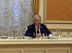 Гусев извинился перед воронежцами за «действия безответственных людей» в разгар снегопада