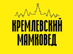 Авторитетный телеграм-канал поставил на «Партию прямой демократии» на выборах в Воронеже